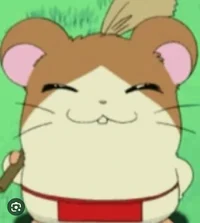 Howdy hamtaro 