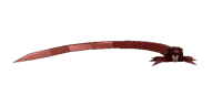 Zinnoi