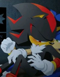 Sonic x shadow-gay