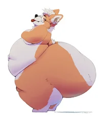 Fat corgi clone 