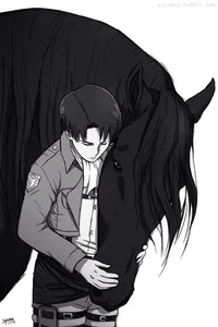 Levi Ackerman 