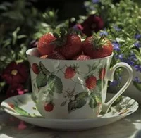 Strawberry world