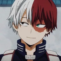 Shoto todoroki 