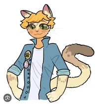 AL Feline Solidarity