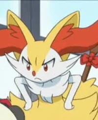 Braixen _roomate_