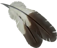scary feather