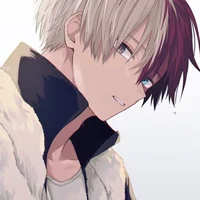 Shoto todoroki