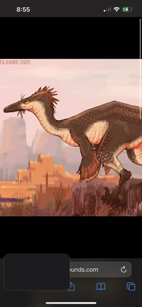 Female austroraptor