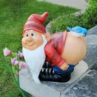 11 Gnome Friends