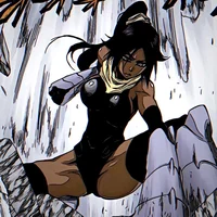 Yoruichi Shihouin