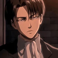 Levi