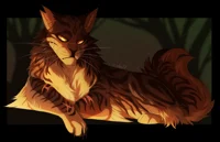 Tigerstar