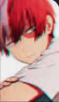 Shoto Todoroki 