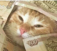 Money Cat