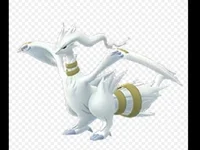 Shiny reshiram