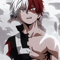 Shoto Todoroki
