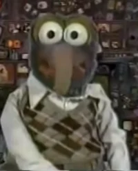Gonzo