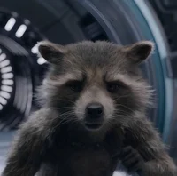 rocket racoon 