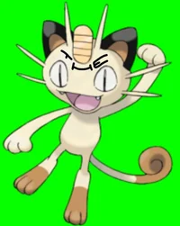 Scammer Meowth _OLD_