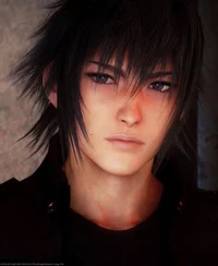 Noctus Lucis