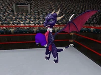 Boxing Cynder