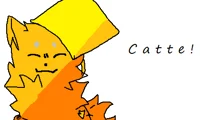 Catte -KP-