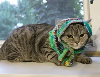Babushki