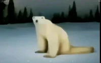Mutate polar bear