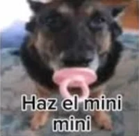 Haz el Mini Mini