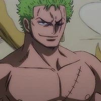 OP Roronoa Zoro