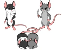 Mouse Cross - Killer