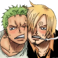 Zoro y sanji
