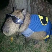 Capibatman