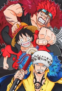 Law kid luffy