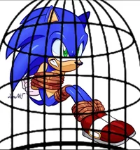 Captured Sonic
