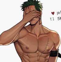 Fake Boyfriend Zoro