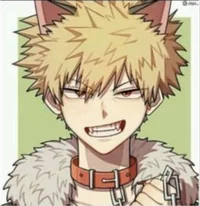 Katsuki bakugo 