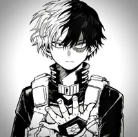 Shoto todoroki 