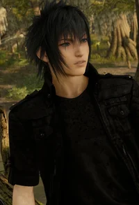 Noctis Lucis Caelum