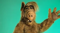 Alf