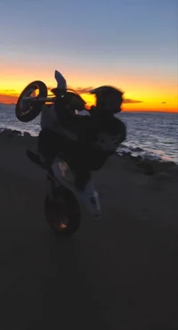 motocross boy v2