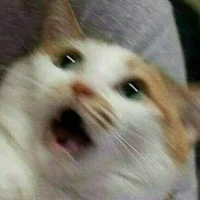 La creador de zumiko