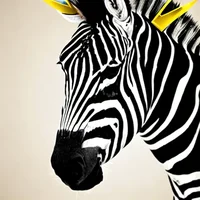 Zebra princess