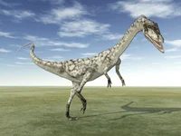 Coelophysis 