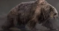 Cave Bear