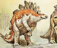 Stegosaurus 1