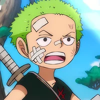 Zoro chiquito