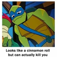 ROTTMNT Leonardo 