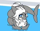 Female latex shark
