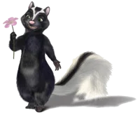 Stella The Skunk